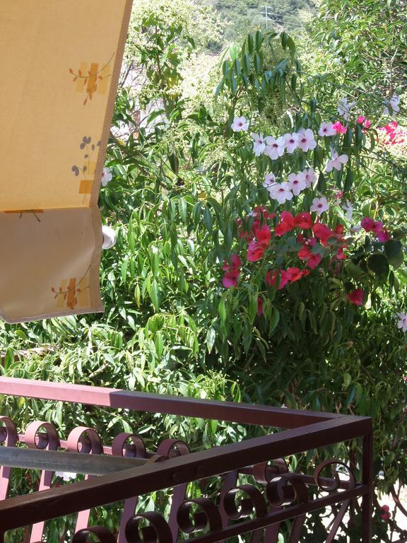 Stamoulis Apartments Agia Efimia エクステリア 写真